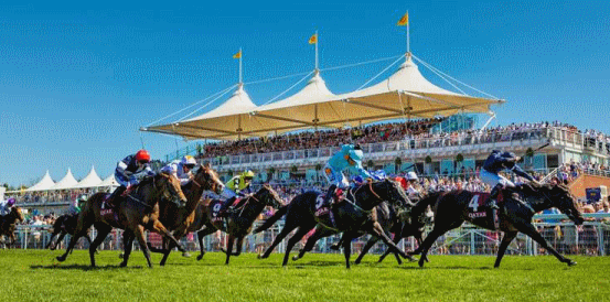 Can Jonquil Land a Win in the Virgin Bet Celebration Mile Stakes?