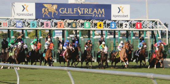 Fierceness and Locked Favourites for Pegasus World Cup