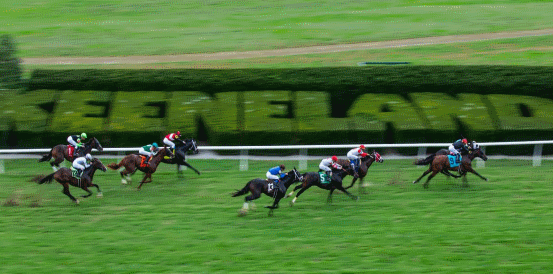 Silver Knott Could Land Gold in Juvenile Turf