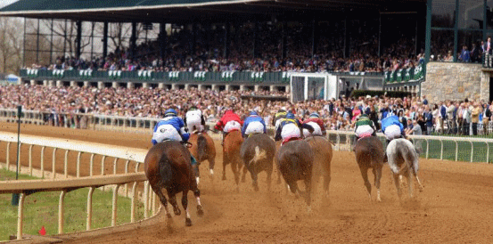 Goodnight Olive and Echo Zulu Head Filly & Mare Sprint Betting