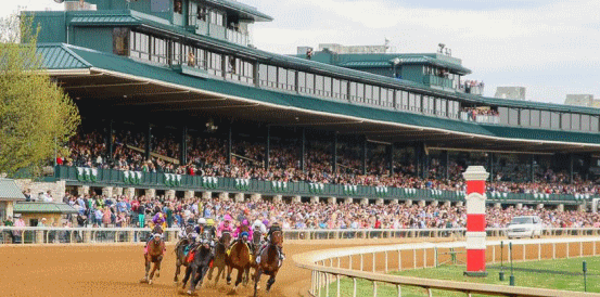 Wonder Wheel and Chocolate Gelato Head Juvenile Fillies Betting