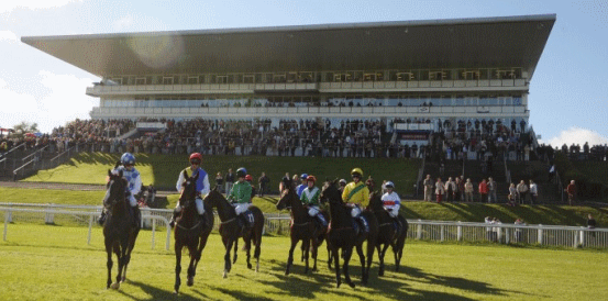 Can What’s Up Darling Deliver in Munster National Handicap Chase?