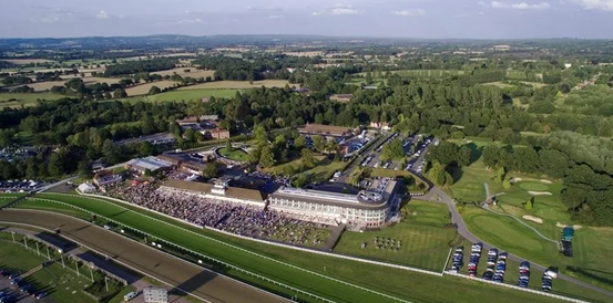 Can L’Homme Presse Claim Victory in the Fleur De Lys Chase?