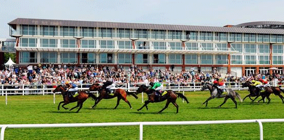 Cathedral and Jabaara Favourites for William Hill Chartwell Fillies' Stakes