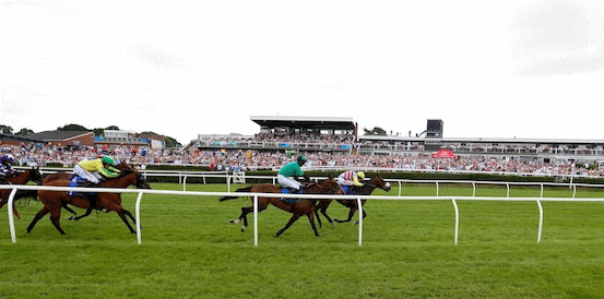 Mole Court Favourite for Unibet Summer Plate Handicap Chase