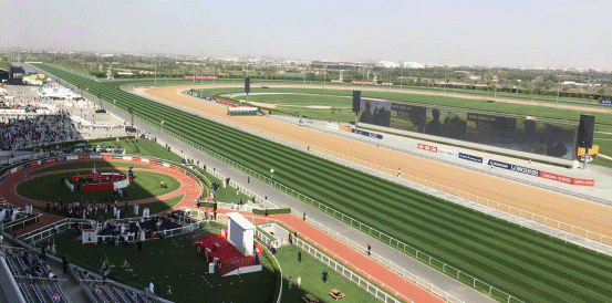 Tower Of London and Trawlerman Favourites for Dubai Gold Cup