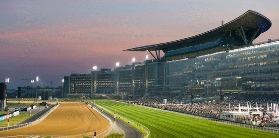 Forever Young Favourite to Win UAE Derby