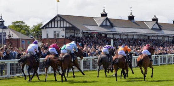 Can Dedicated Hero Oblige in the Frodon Novices' Limited Handicap Chase?