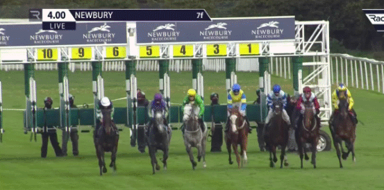 Can Strong Leader Land a Victory in the Long Distance Hurdle?