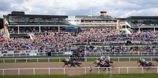 Can Constitution Hill Roar Back in BetMGM Fighting Fifth Hurdle?