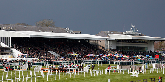 Rocky's Diamond Heads Betting for Newton Novices’ Hurdle