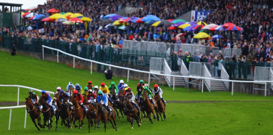 Fact To File and Galopin Des Champs Favourites for Punchestown Chase