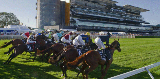 Jimmysstar and Tentyris Battling for TJ Smith Stakes Favouritism