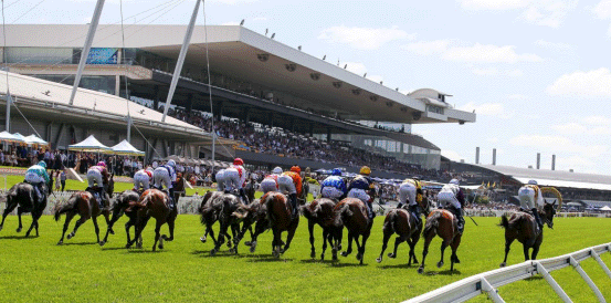 Ascoli Piceno Favourite to Win Golden Eagle