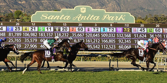 Cody’s Wish Heads Betting for Breeders Cup Dirt Mile