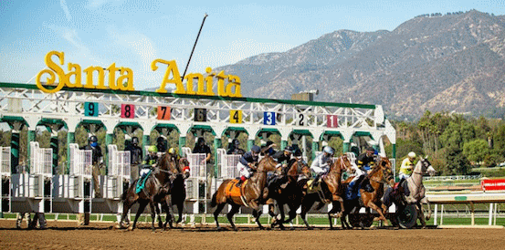 Inspiral and Warm Heart Favourites for Breeders Cup Filly & Mare Turf