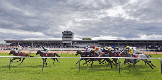Lord North and Dubai Honour Head Winter Derby Stakes Betting