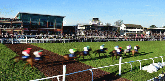 Frodon Favourite to Win Portman Cup Chase