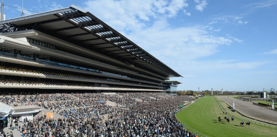 Masquerade Ball Heads Betting Market for Japan Cup