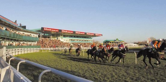 Inis Oirr and Iron Bridge Head Midlands Grand National Field