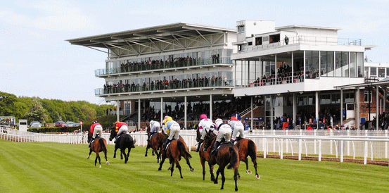 Protektorat Could Be All the Rage in Charlie Hall Chase