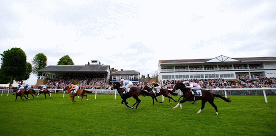 Protektorat Favourite to Win Fitzdares Fleur De Lys Chase