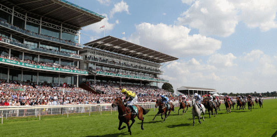 Can Division Reign Supreme in the Rockingham Stakes?