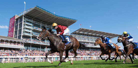 Fox Legacy and King’s Gambit Favourites for Strensall Stakes