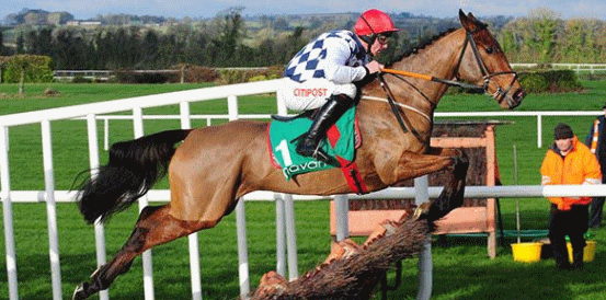 Nusret Favourite for Alfa Aggregates Products Handicap Hurdle