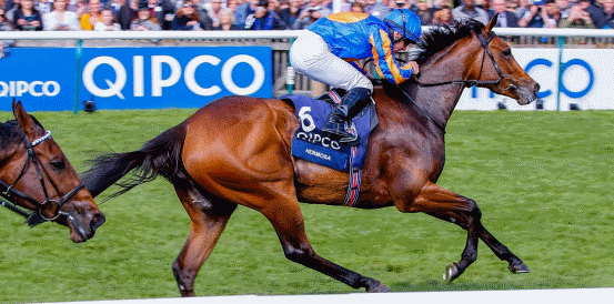 Jasmin De Vaux Favourites to Win Lawlor's Of Naas Novice Hurdle