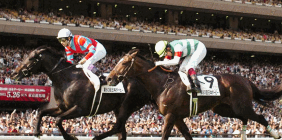 2020 Japanese Derby betting odds