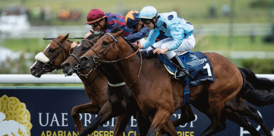 Poule d'Essai des Poulains betting odds