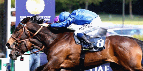 Poule d'Essai des Pouliches betting preview