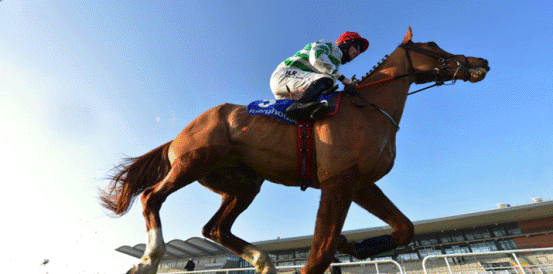 Quebecois Favourite to Win Silver Bowl Novices' Chase