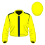Bright Thunder