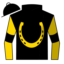 Aurum Sky
