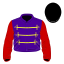 The King's Falcon