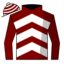 Fortis Puer