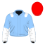 Grey Phoenix