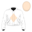 Animato