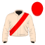 Bulletsnap