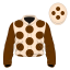 Coco's Legacy