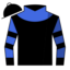 Ridari