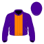 Shuile Warrior
