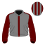 Brageiro