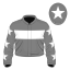 Venerini