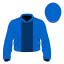 Lieutenant Sir