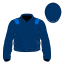 Caeruleus