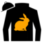 Foolish Rabbit