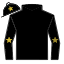 Star Of Vega